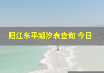 阳江东平潮汐表查询 今日